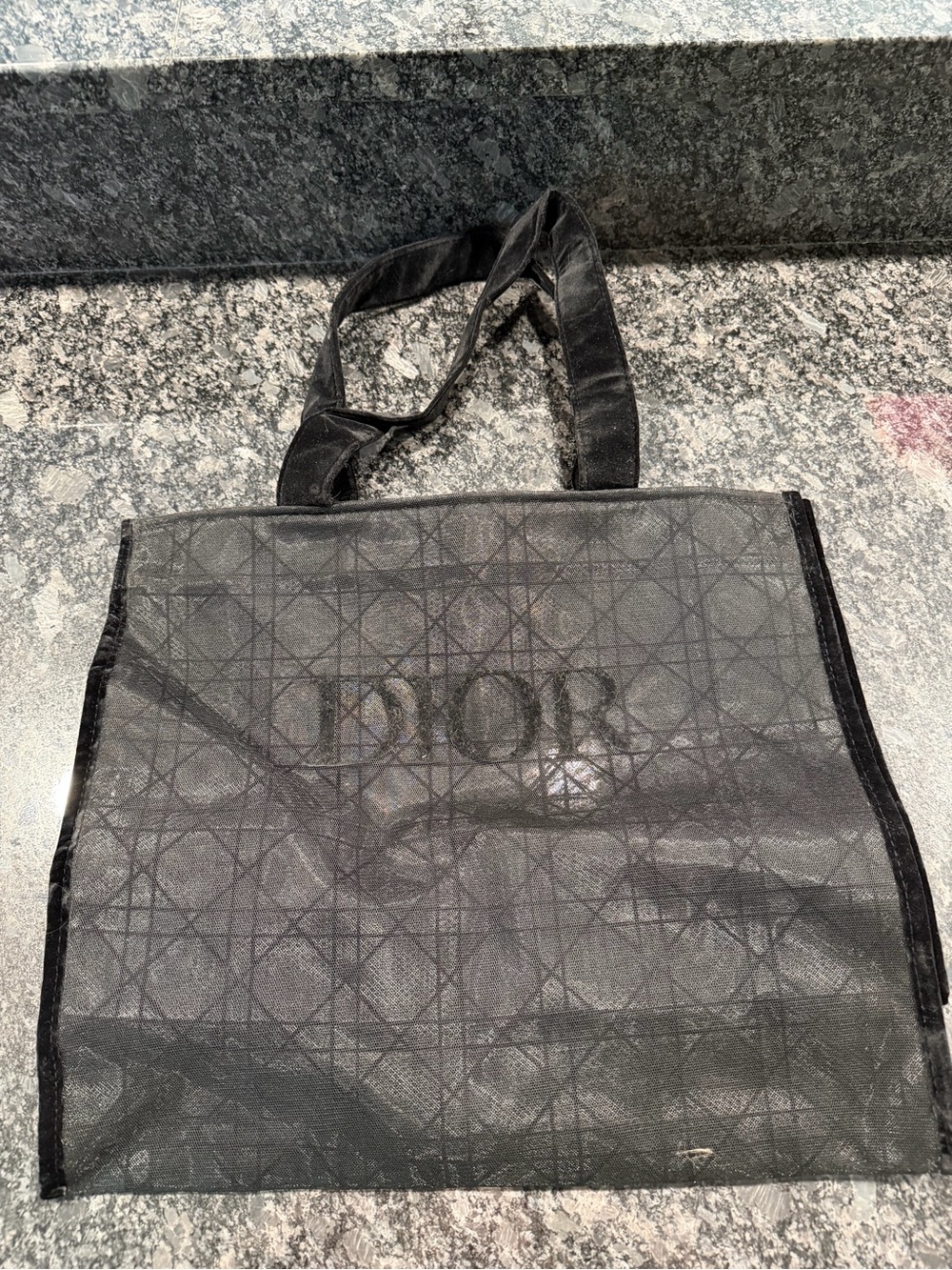Dior Black Sheer Mesh Tote with Tonal Logo